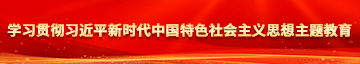 白丝曰逼学习贯彻习近平新时代中国特色社会主义思想主题教育